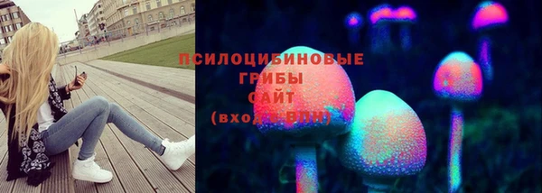 a pvp Кодинск