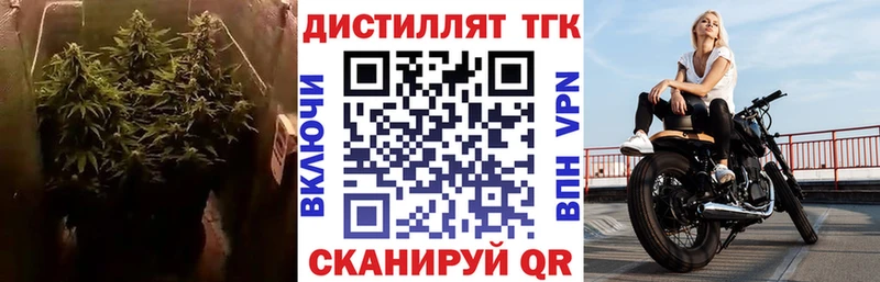 Дистиллят ТГК THC oil  закладка  Ковров 